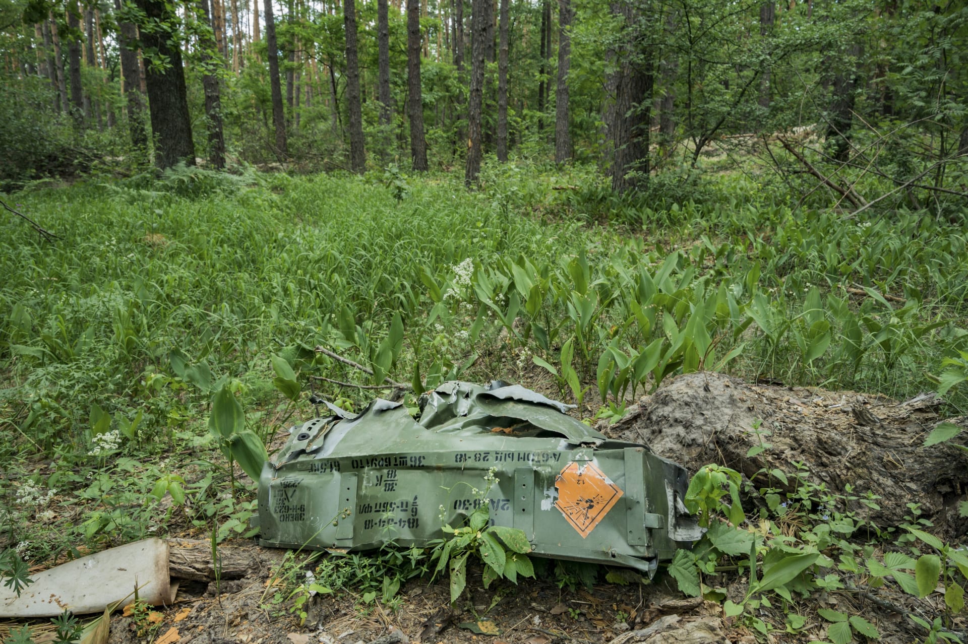 Zbytky krabice s výbušninami, zanechané ruskou okupační armádou v ukrajinském lese (ilustrační foto)