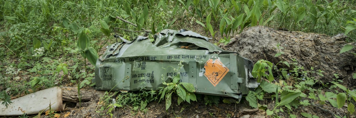 Pod houbařem vybuchla mina. Návštěva lesa vás může stát život, varoval ukrajinský gubernátor