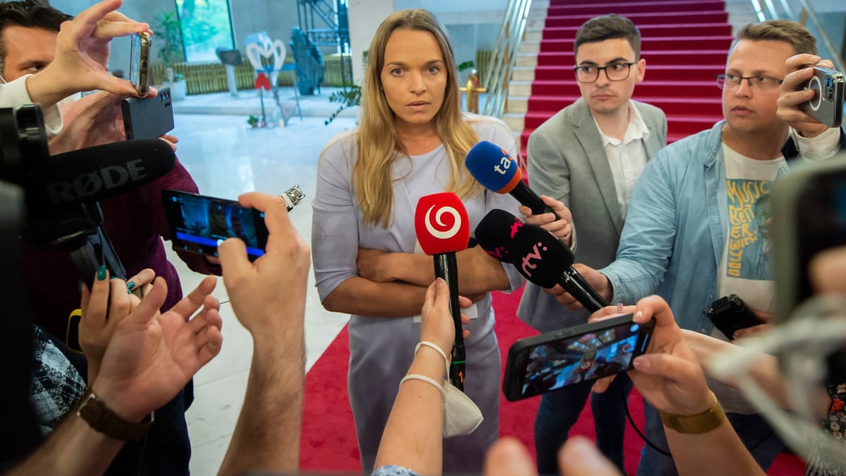 Slovenská politička Romana Tabák (Sme Rodina) měla údajně napadnout opoziční poslankyni Janku Bittó Cigánikovou. (Ilustrační obrázek)