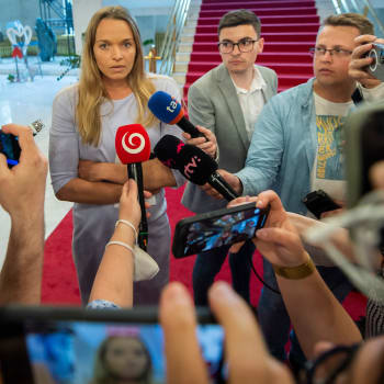 Slovenská politička Romana Tabák (Sme Rodina) měla údajně napadnout opoziční poslankyni Janku Bittó Cigánikovou. (Ilustrační obrázek)