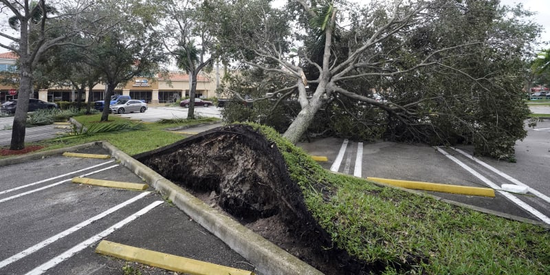 Vyvracene stromy na Floride