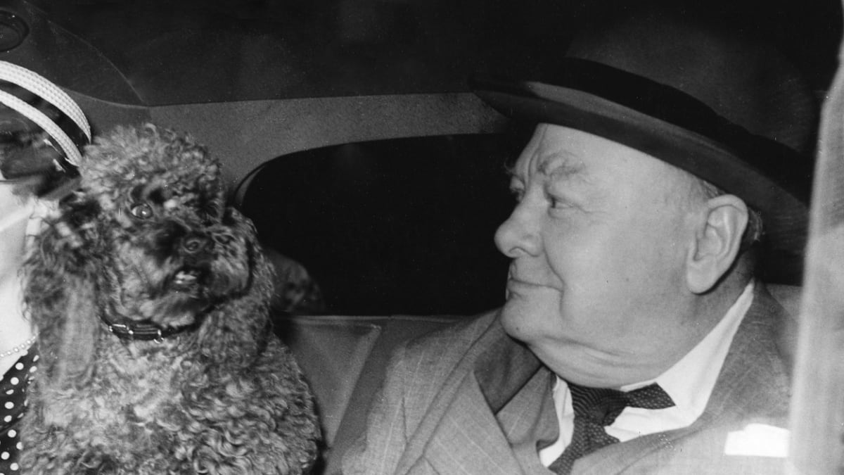 Churchill a jeho pudl Rufus II.