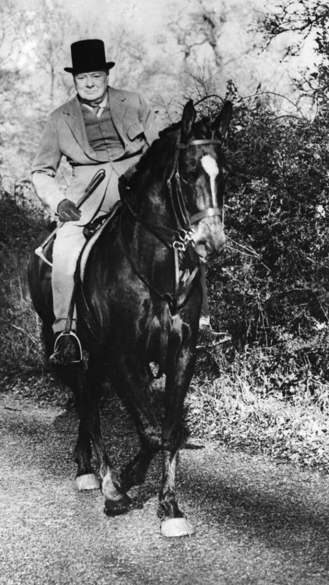 Winston Churchill se zasloužil o návrat mnoho koní z první světové války