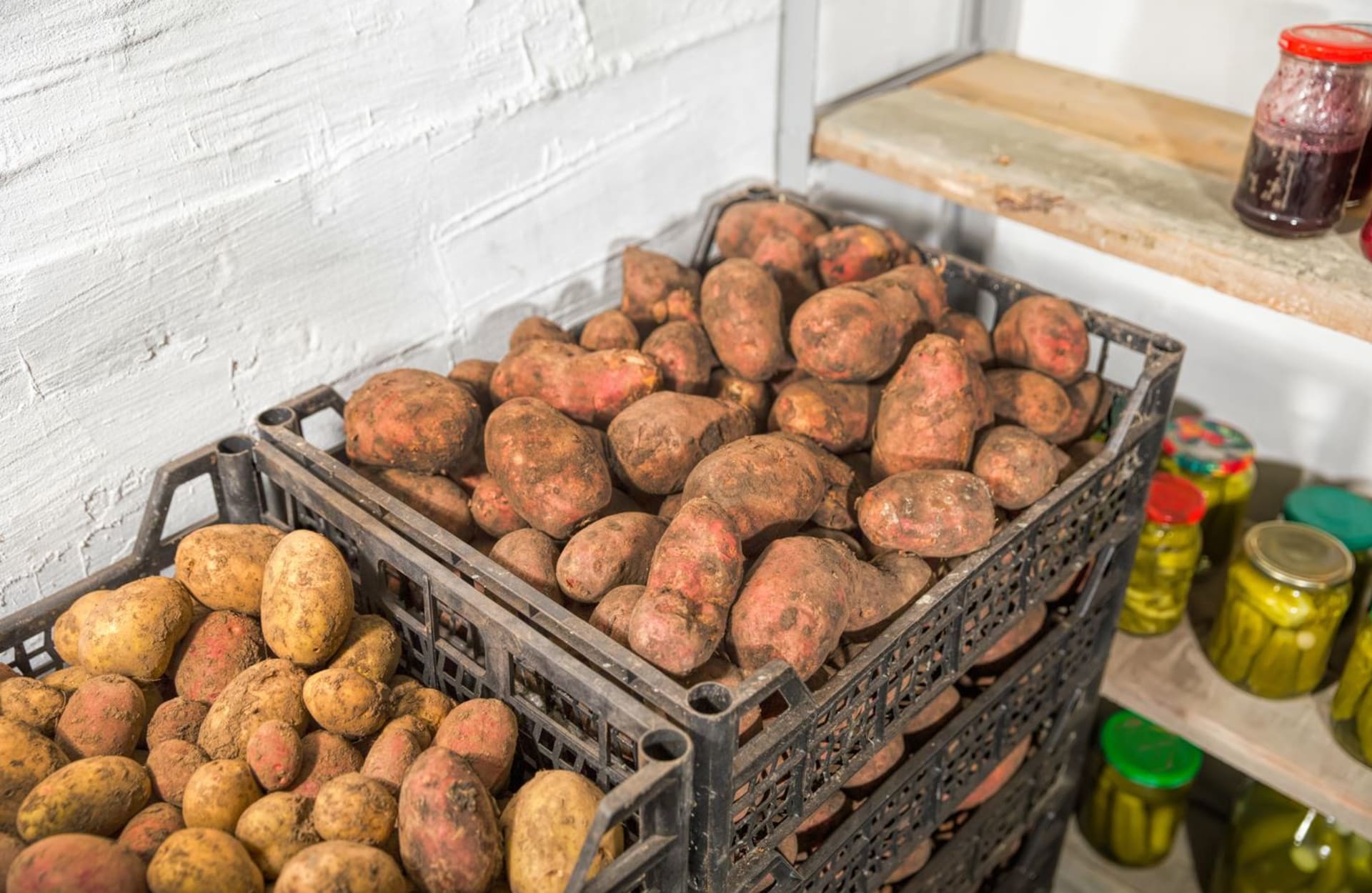 Suchyý chladný sklep je základem úspěchu při uskladnění brambor