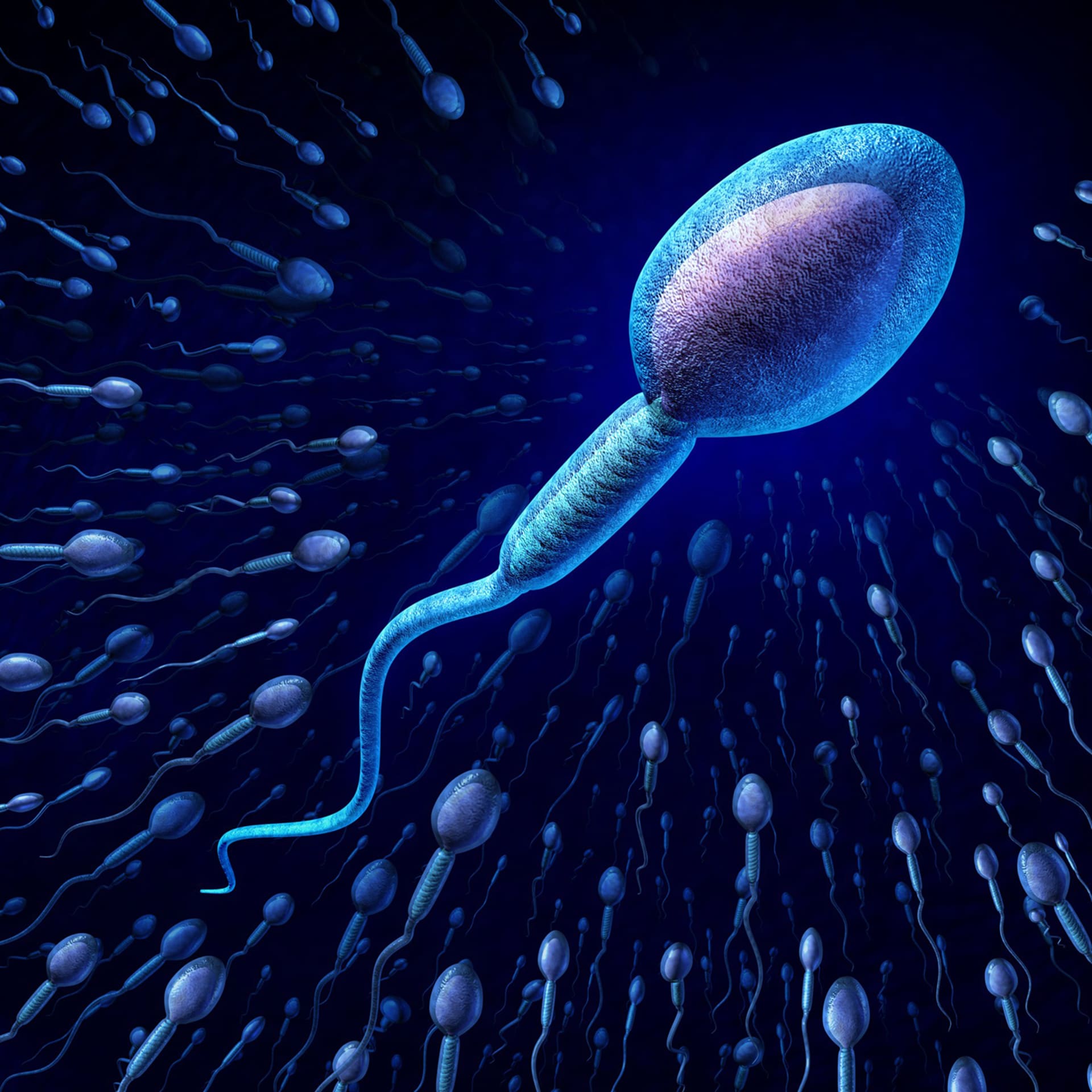 V roce 2005 reprodukční biolog univerzity v britském Sheffieldu Harry Moore prohlásil, že v silách jeho týmu je vyvinout základní zárodečnou buňku, ze které se vytvoří spermie či vajíčko.