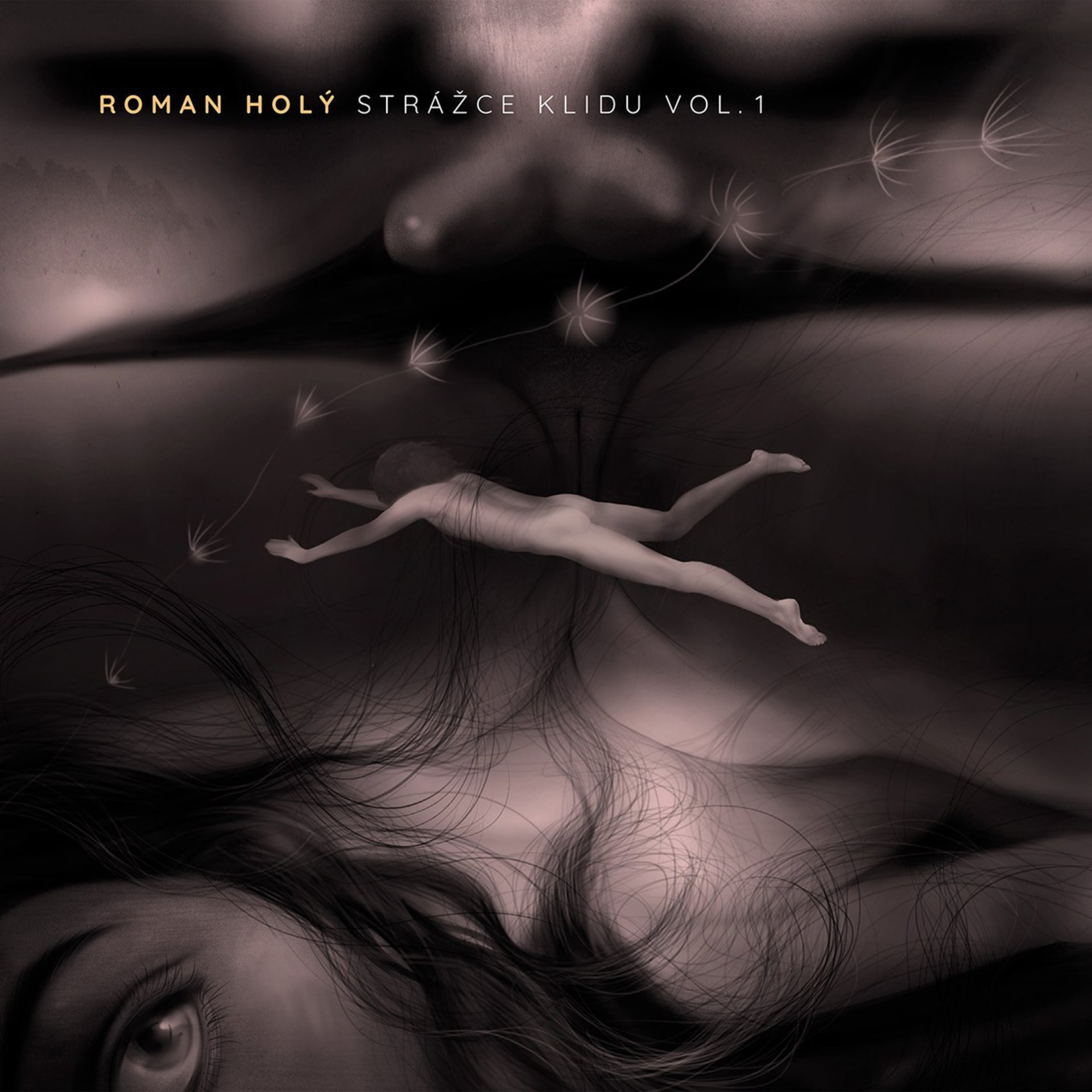 První sólové alba Romana Holého dostalo název Strážce klidu Vol. 1 a vyšlo 19. listopadu.