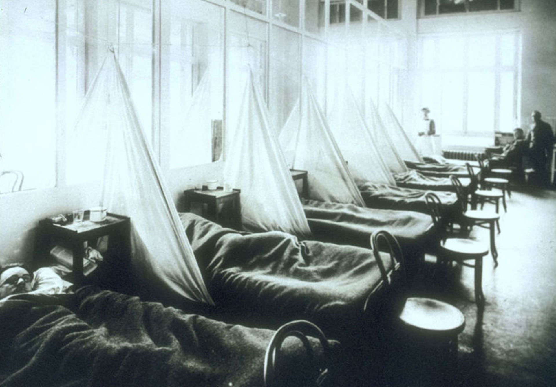 Pandemie španělské chřipky si vybrala daň v podobě mnoha desítek milionů mrtvých. Smrtnost (mezi nakaženými) se pohybovala mezi 10 a 20 procenty, úmrtnost je pak odhadována na 3-5 procent.