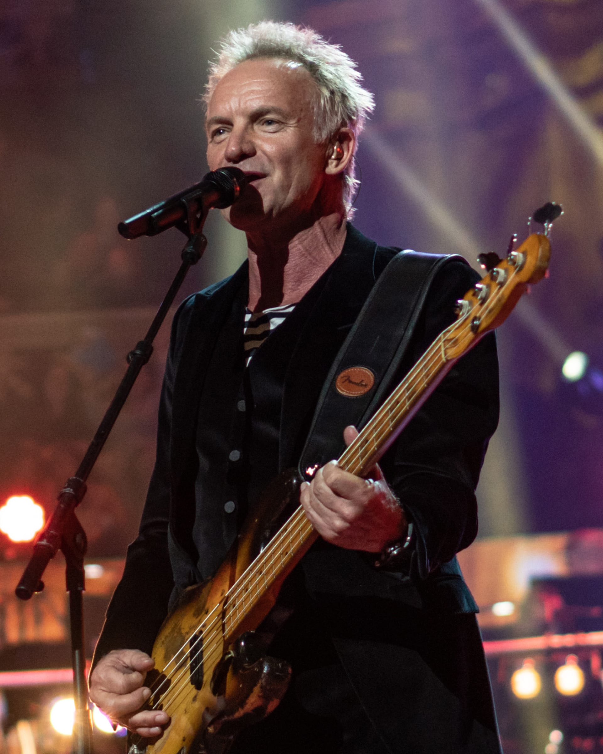 Po několika desítkách let od počátků s kytarou s několika chybějícími strunami má Sting po sobě pojmenované nejen struny, ale i nástroj.