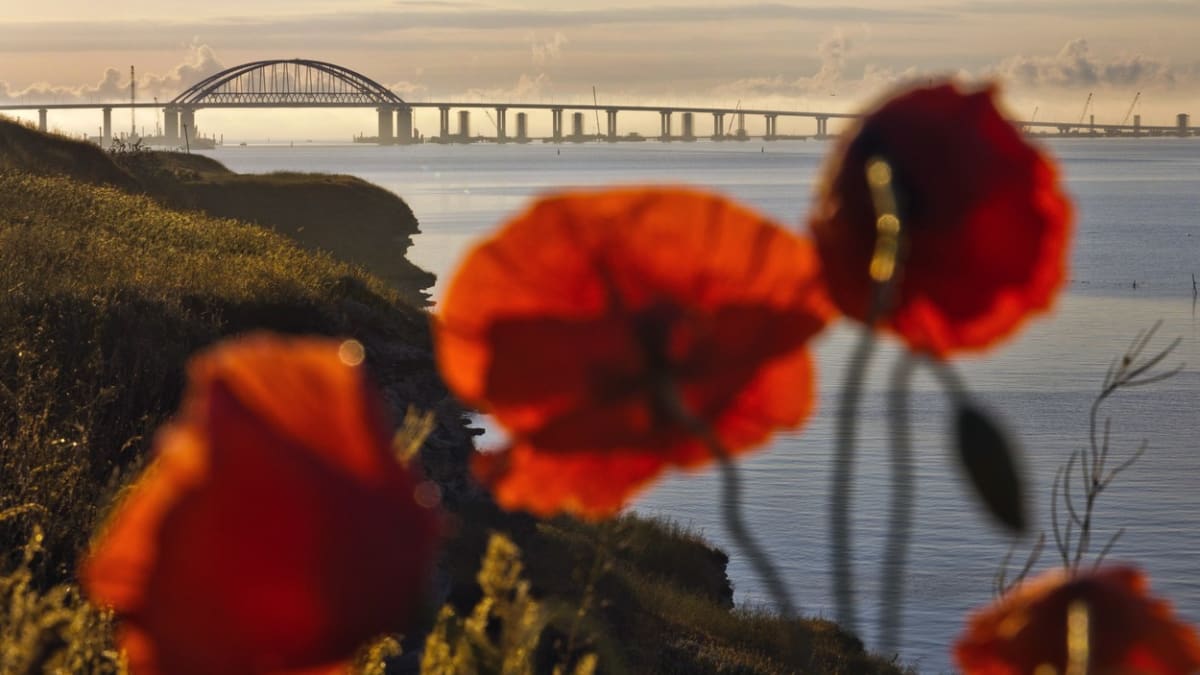 Pohled na Krymský most včetně cekce umožňující proplutí velkých lodí