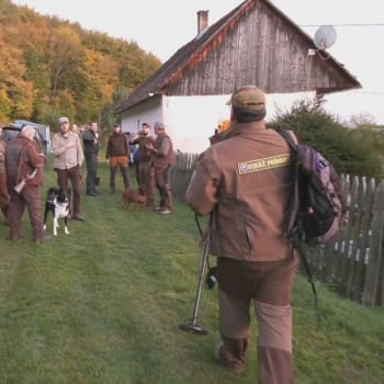 Na Slovensku hledají postřelenou medvědici.