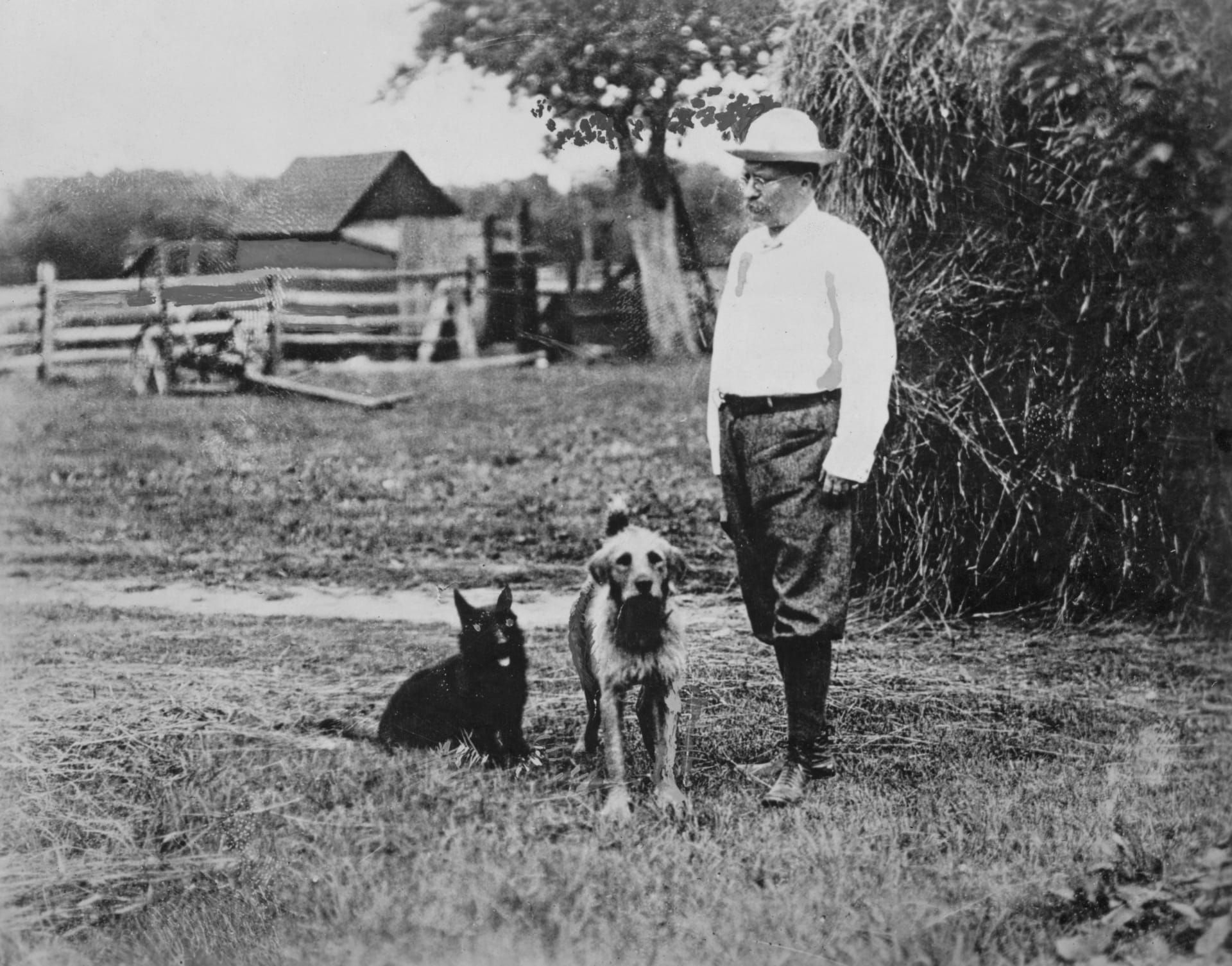 Theodore Roosevelt se svými psi