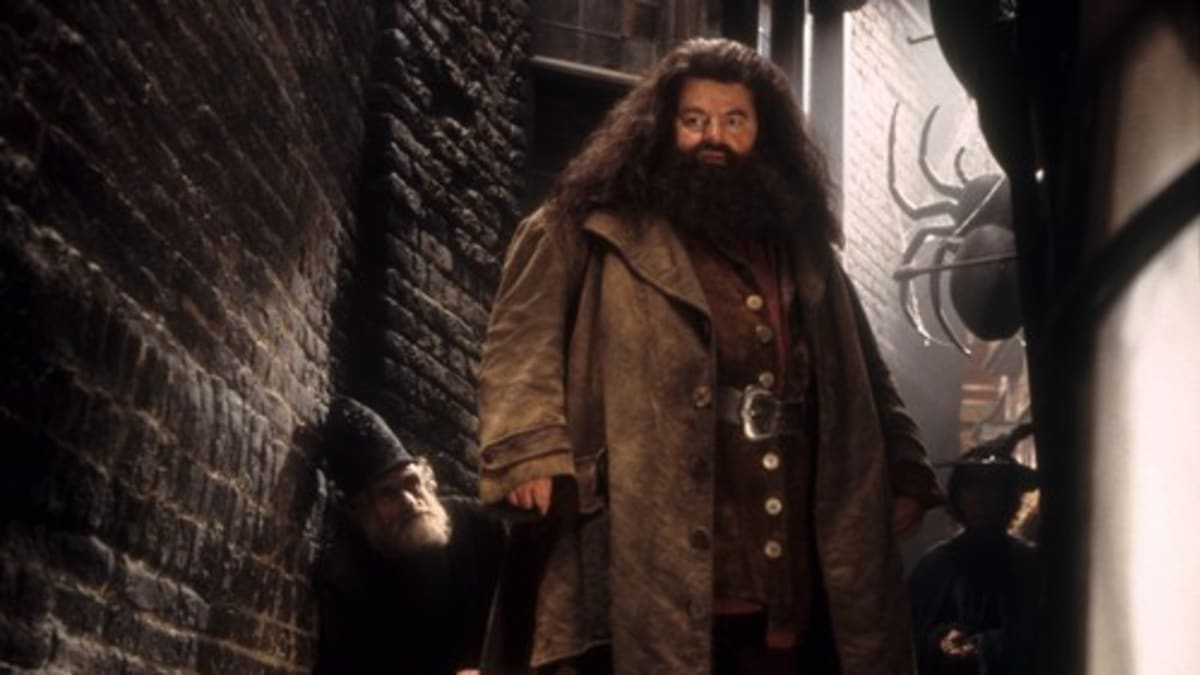 Rubeus Hagrid z filmové série Harry Potter