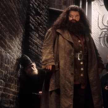 Rubeus Hagrid z filmové série Harry Potter
