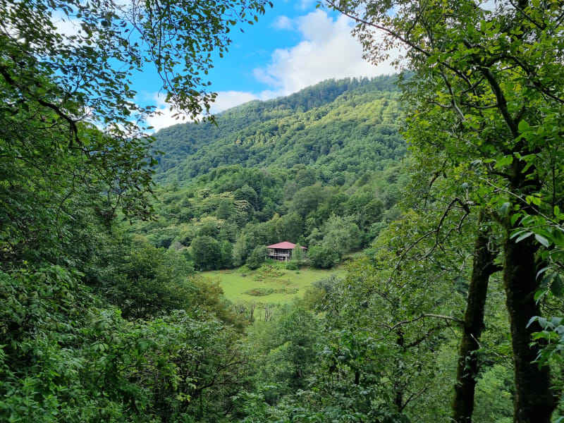 Výhled v gruzínském národním parku.