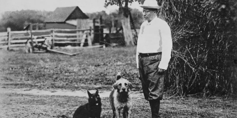 Theodore Roosevelt se svými psi
