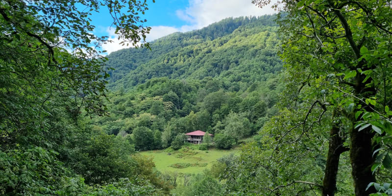 Výhled v gruzínském národním parku.