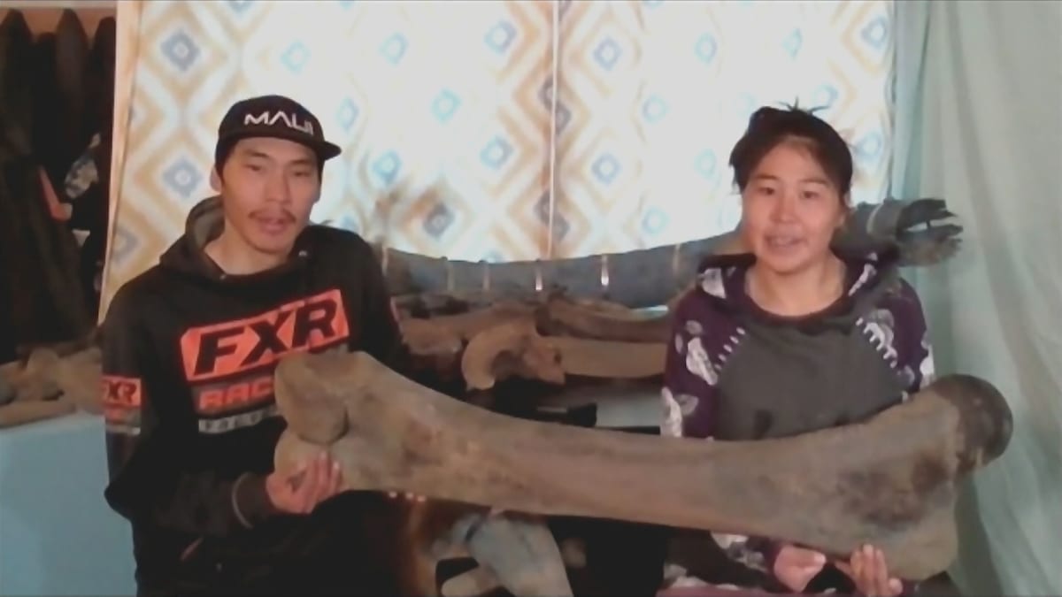 Manželé našli na pláži mamutí kosti.