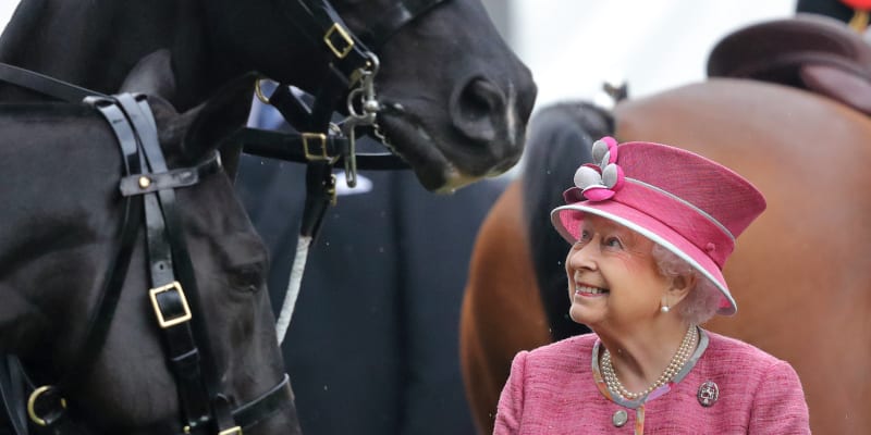 Zesnulá Alžběta II. byla známá svojí láskou ke koním a dostihům.