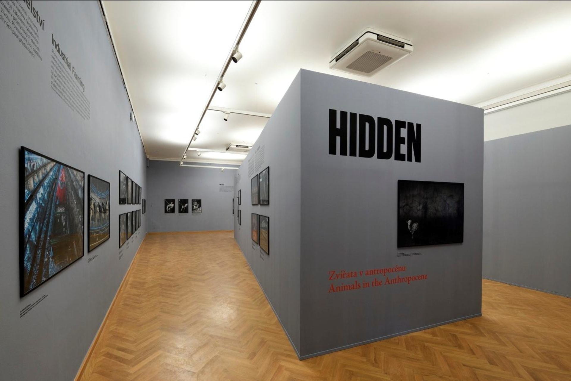 Z výstavy Hidden v ostravském Domě umění