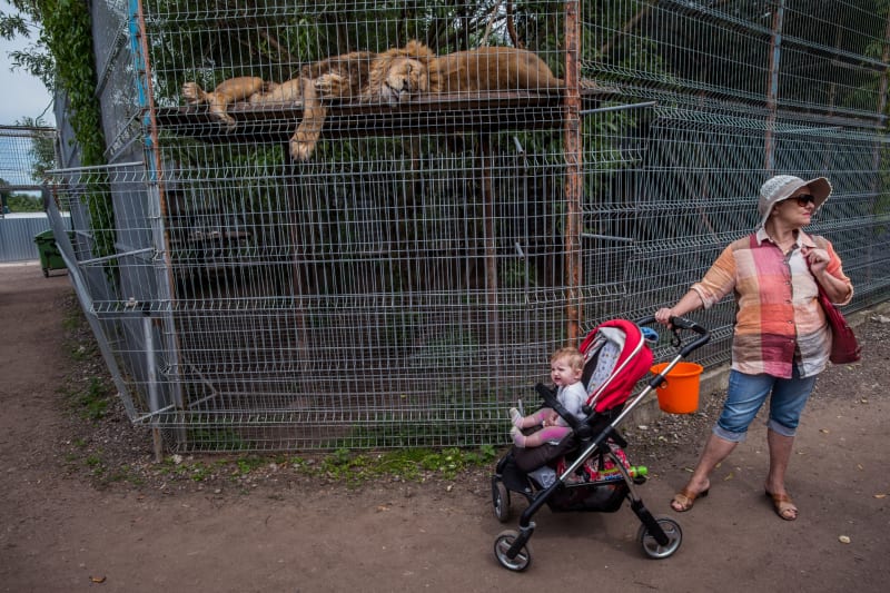 Zvířata pro zábavu. Výstava dokumentuje i neutěšený stav některých zoologických zahrad. 