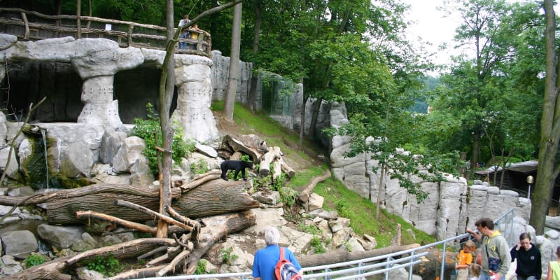Zoo Jihlava:  Velký výběh s proudící vodou, stromy a skalními průrvami téměř věrně napodobuje přirozené prostředí zvířete typického pro Malajsii – pro medvěda malajského.