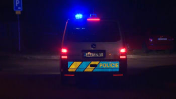 Řidička v Praze srazila 6letou dívenku, od nehody odjela. Policistům pomohl svědek