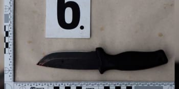 Hororový výlet do přírody: Žena při pikniku na Náchodsku pobodala přítele nožem