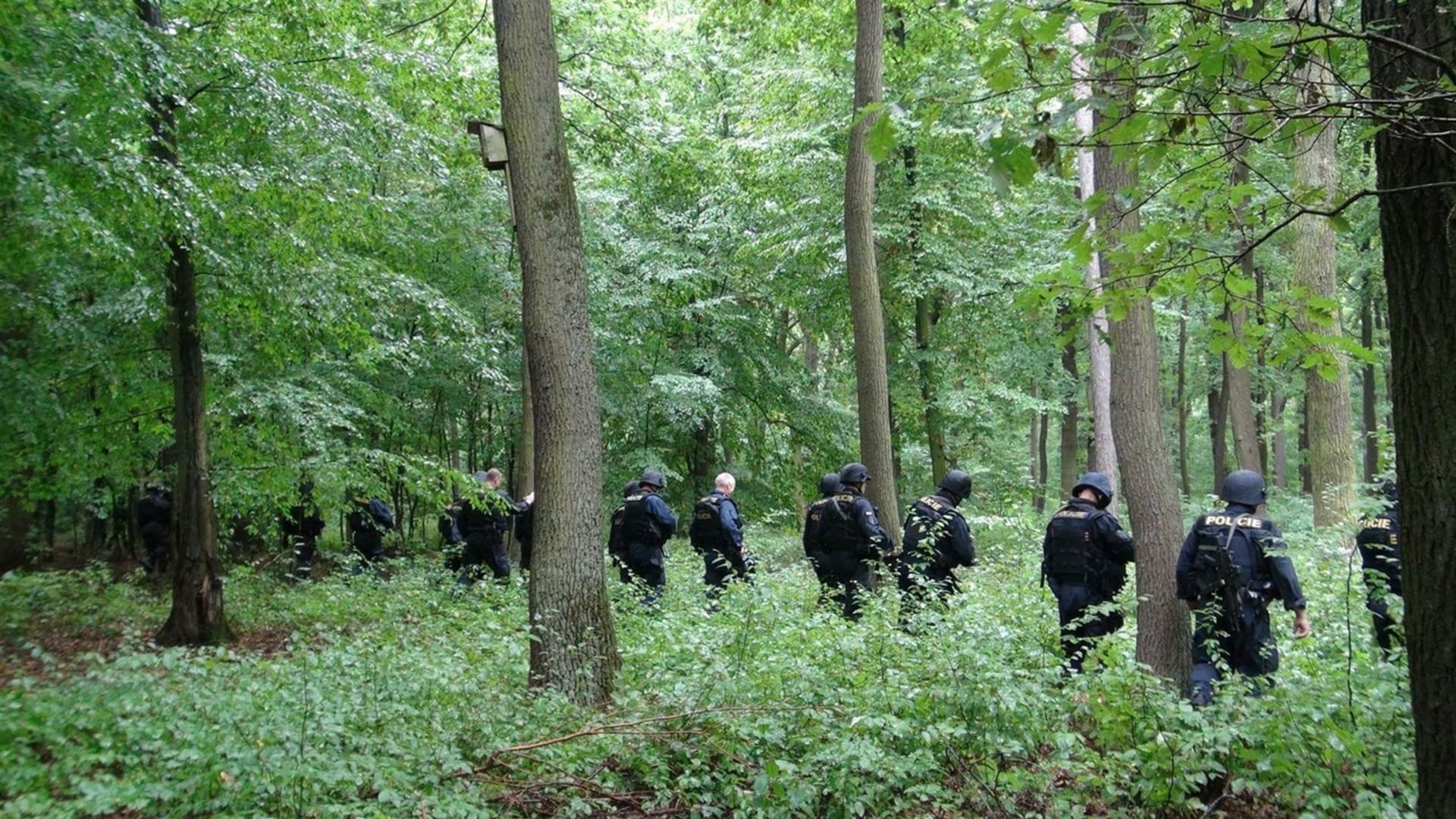 Klánovický les během pročesávání ze strany policie