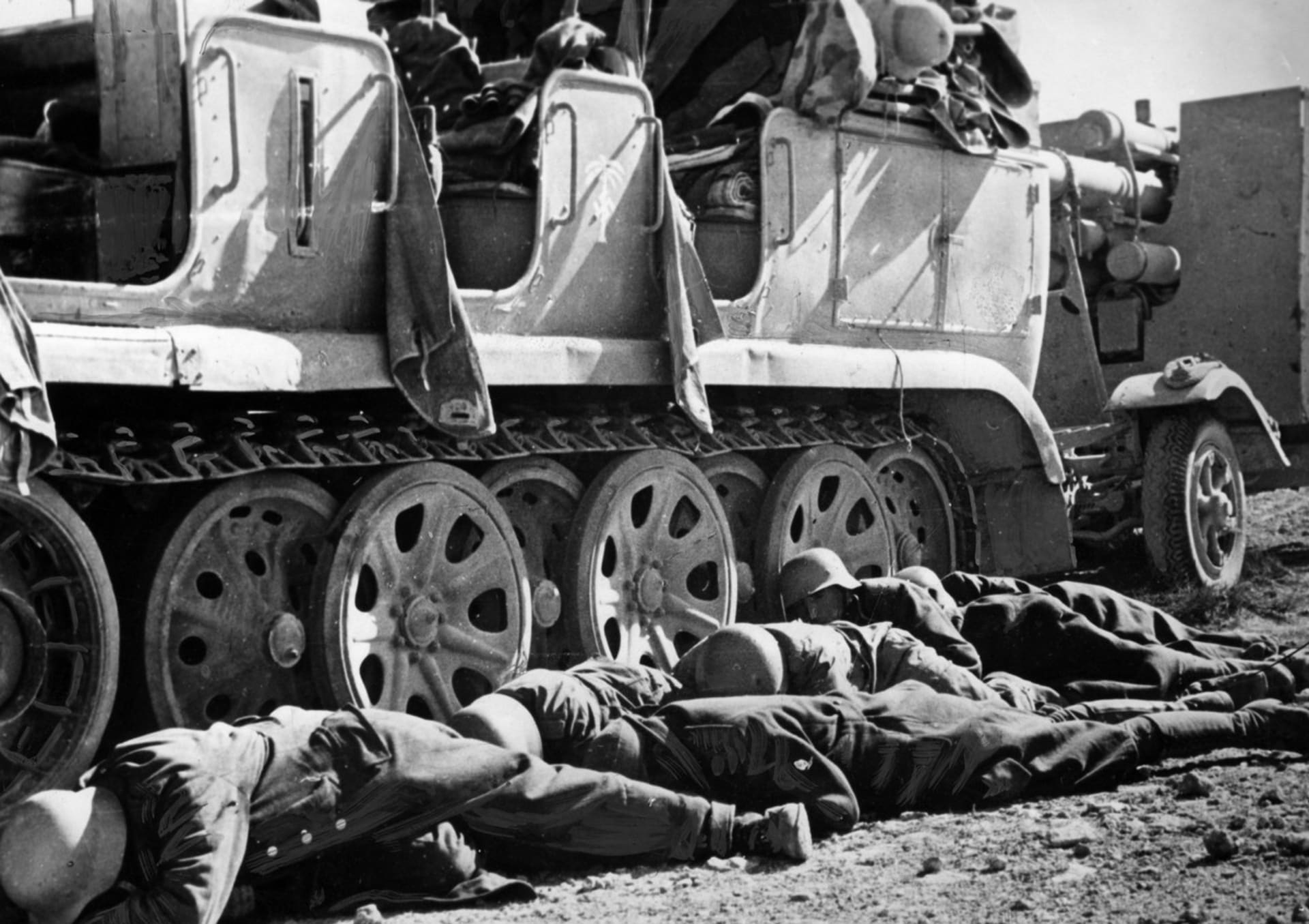 Zabití němečtí vojáci v bitvě u El Alameinu