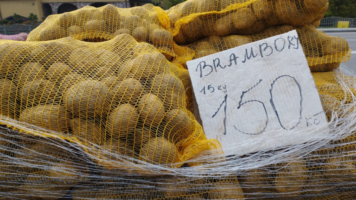 Nákupy v Polsku. 15 kilo polských brambor za 150 korun