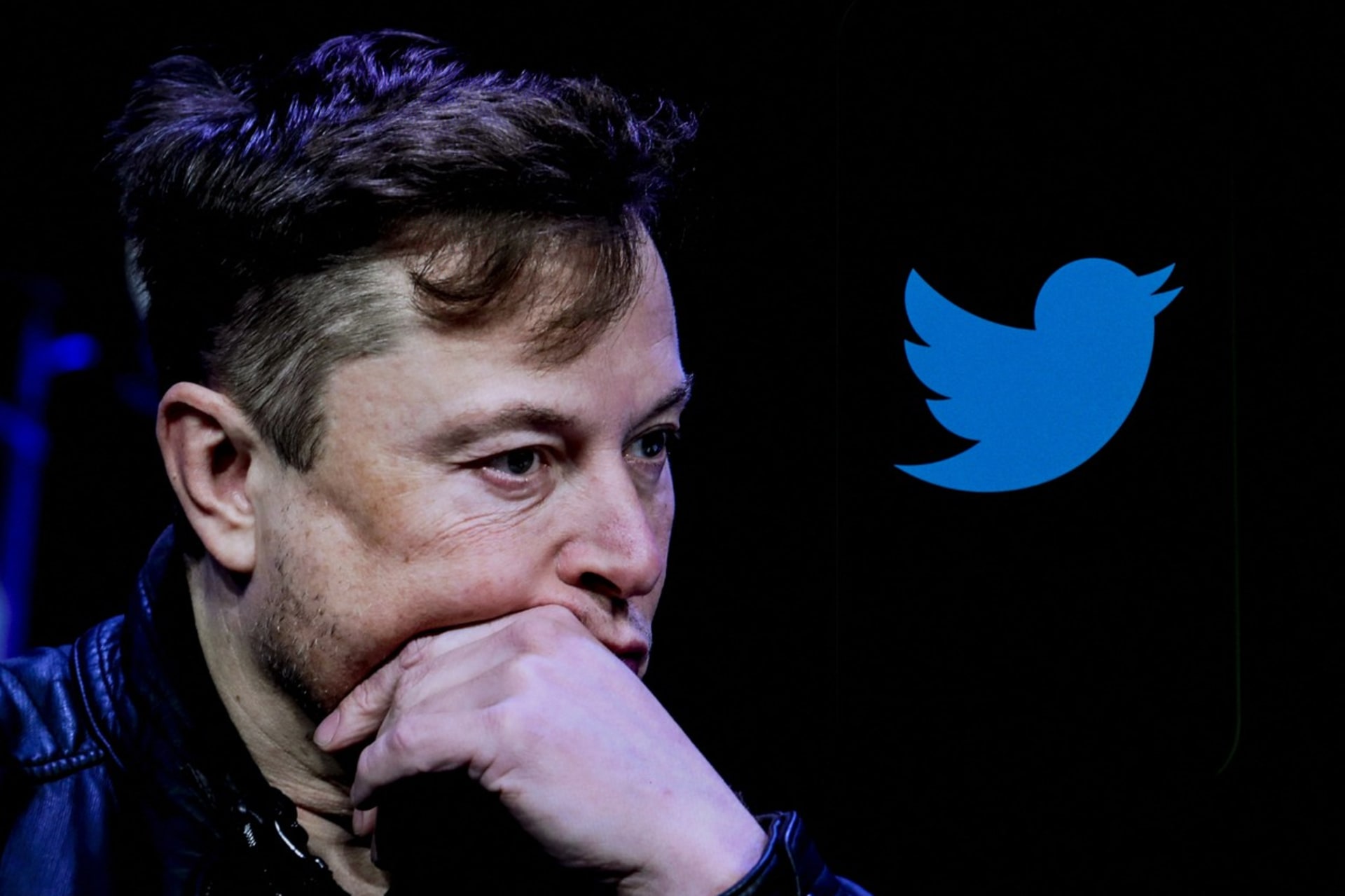 Elon Musk převzal společnost Twitter.