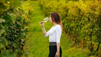 Kateřina Mikulíková: Můj život je víno, vínu dávám život 