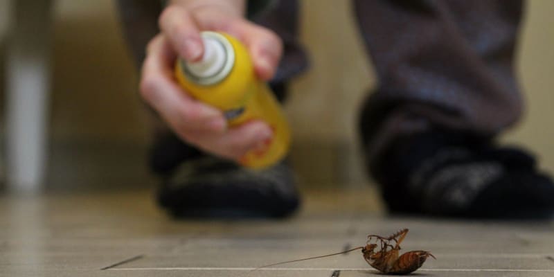 Látky zabíjející šváby jsou extrémně toxické 