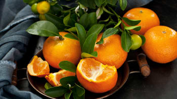 Jak pěstovat citrusy? Těchto 5 tipů vám zajistí úrodu citronů i mandarinek