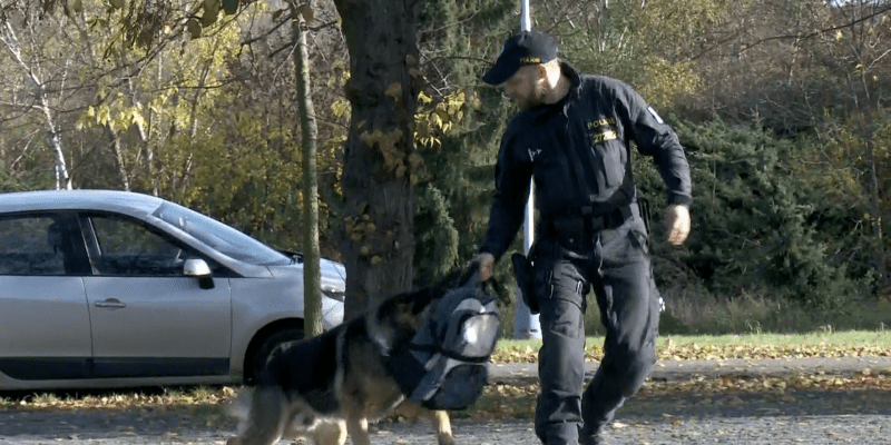 S psovodem Ondřejem Harry slouží u policie už dlouhých sedm let