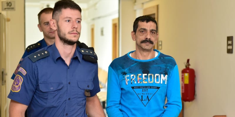 Jaroslav Topinka, který pomáhal při přepadení rodiny v chatové oblasti ve Střížovicích na Ústecku, si odpykává desetiletý trest.