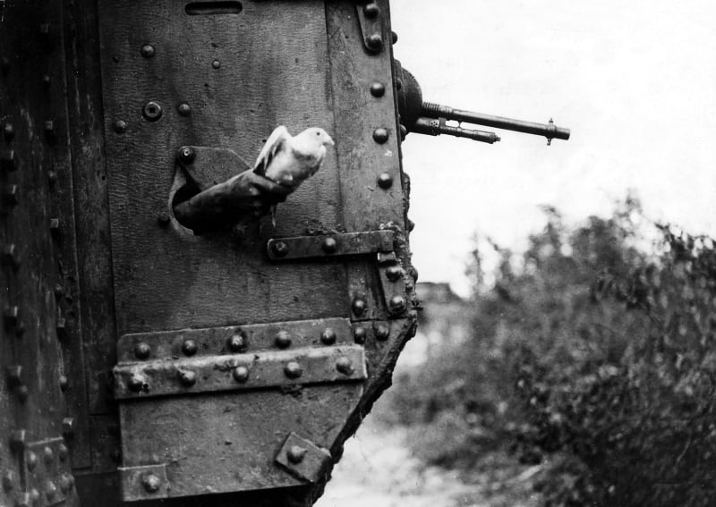 Vypouštění poštovního holub z britského tanku