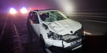 Muže přebíhajícího dálnici na Táborsku smetlo auto. Zemřel ještě před příjezdem záchranářů