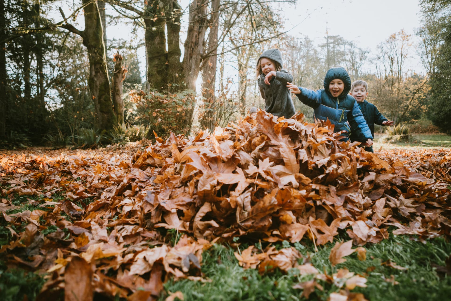 \echat si na trávníku spadané listí může být zábavné