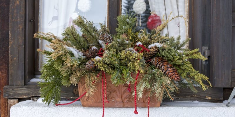 Truhlíky nazdobte větvičkami i šiškami jehličnanů, kousky stálezelených dřevin i vánočními dekoracemi