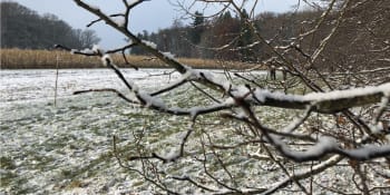 Do Česka míří bílá zima. Meteorologové prozradili, kdy a kde napadne první sníh