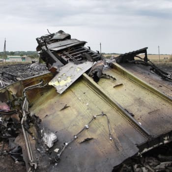 Trosky na místě pádu letadla MH17 malajsijských aerolinií u města Šachtarsk v ukrajinské Doněcké oblasti.