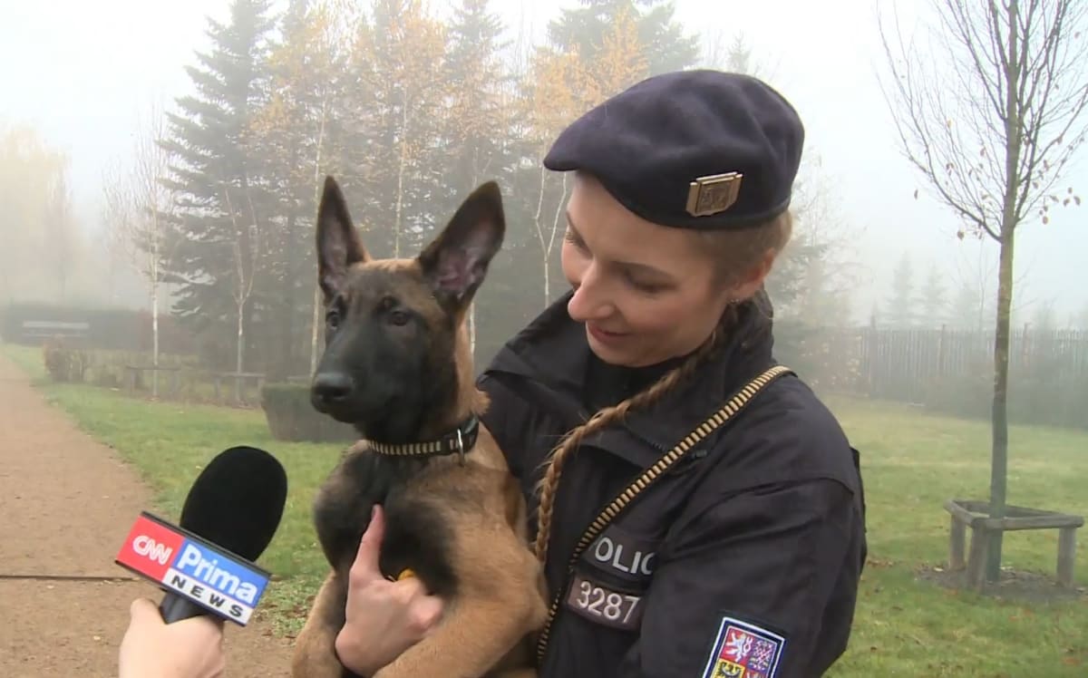 Policejní pes Kim