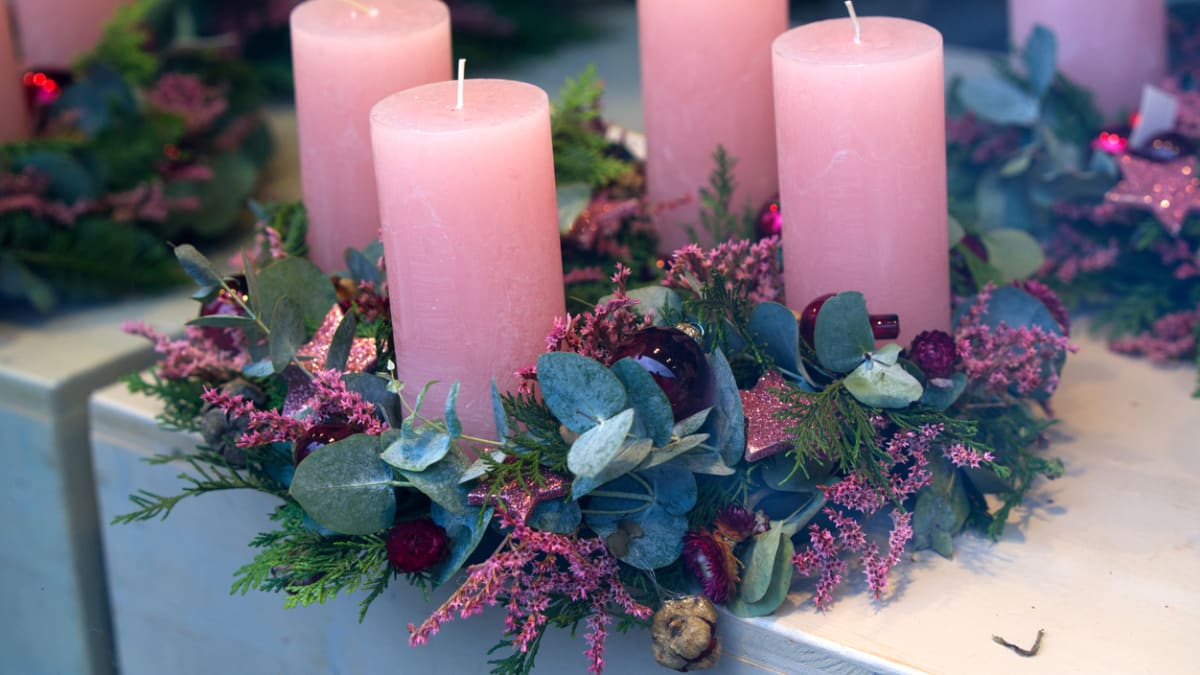 Růžová a fialová je tradiční barvou adventu