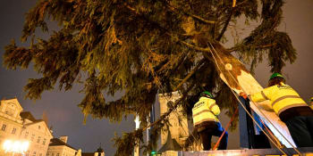 Na Staroměstském náměstí už stojí vánoční strom. Letos bude šetřit energii