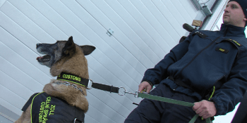 Poznají bankovky podle pachu: Psi pomáhají celníkům bojovat s organizovaným zločinem