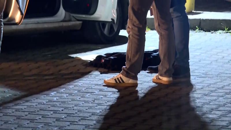 Policie pokračuje ve vyšetřování pondělní vraždy na Černém Mostě.