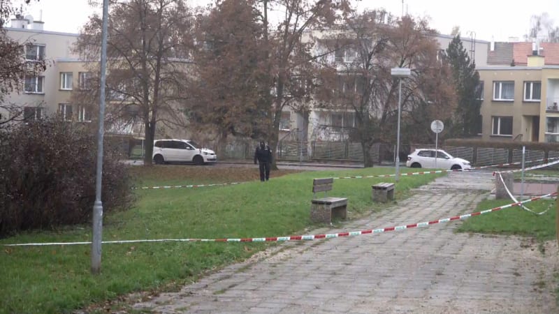 Smrt mladého muže vyšetřují od čtvrtečního rána kriminalisté v Litoměřicích. 