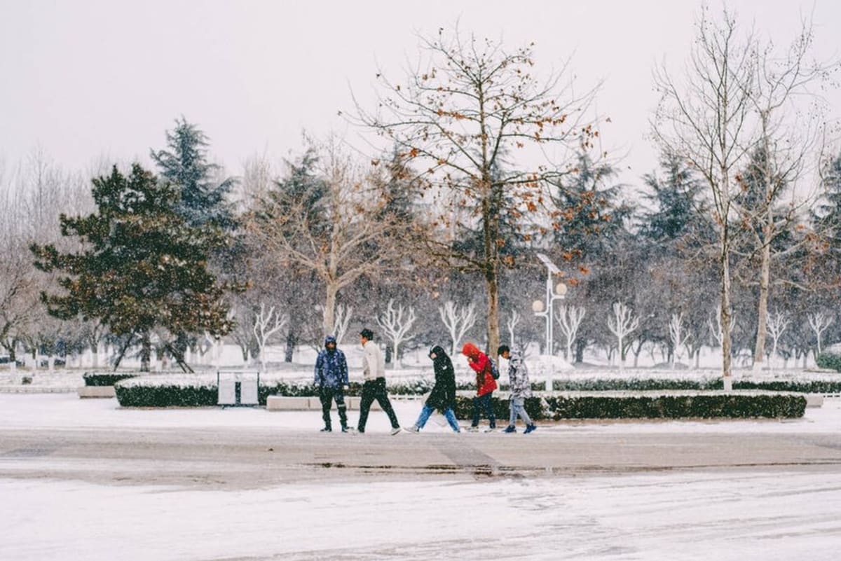 V neděli meteorologové v Česku očekávají sněhovou kalamitu. (Ilustrační snímek)
