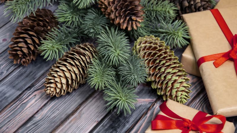 Vánoce s vůní pryskyřice: Věnce, svícny i ozdoby na stromek či na dárky z šišek jehličnanů